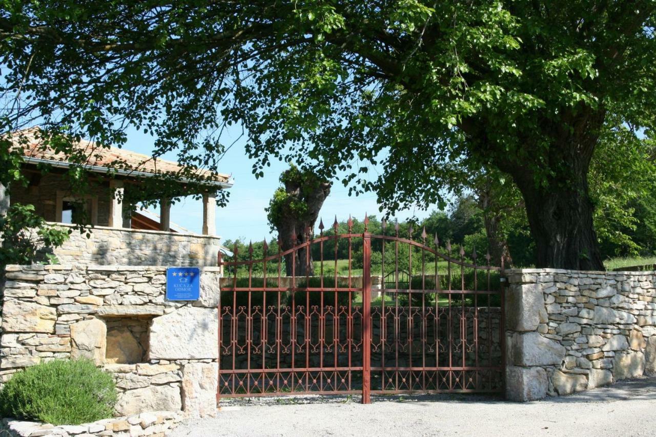 Villa Elena Buzet Extérieur photo